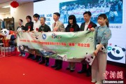 黄历查询中国彩绘熊猫艺术国际巡展东京站开幕