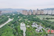 黄历查询西宁市举办六五环境日主题宣传活动